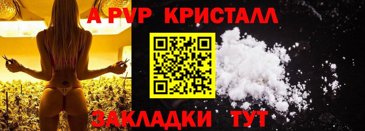 A PVP VHQ Котлас