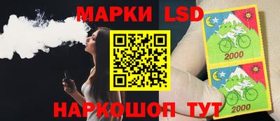 стаф Краснодар