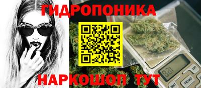 стаф Краснодар