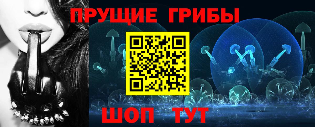 Галлюциногенные грибы мицелий  Псилоцибиновые грибы Magic Shrooms  Вход с VPN  Котлас 